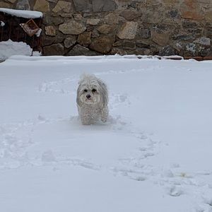 Meet your Posher, Angelina